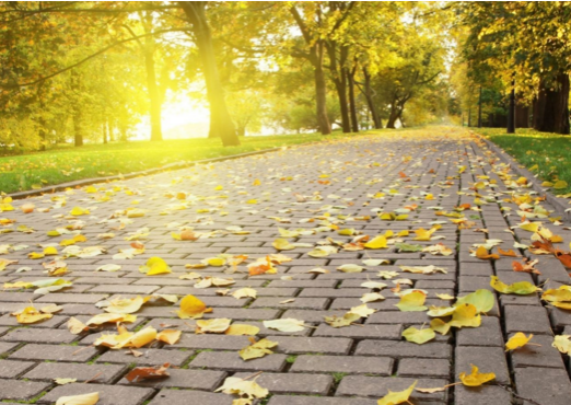 广东金辛医药生物科技有限公司官网/今日末伏