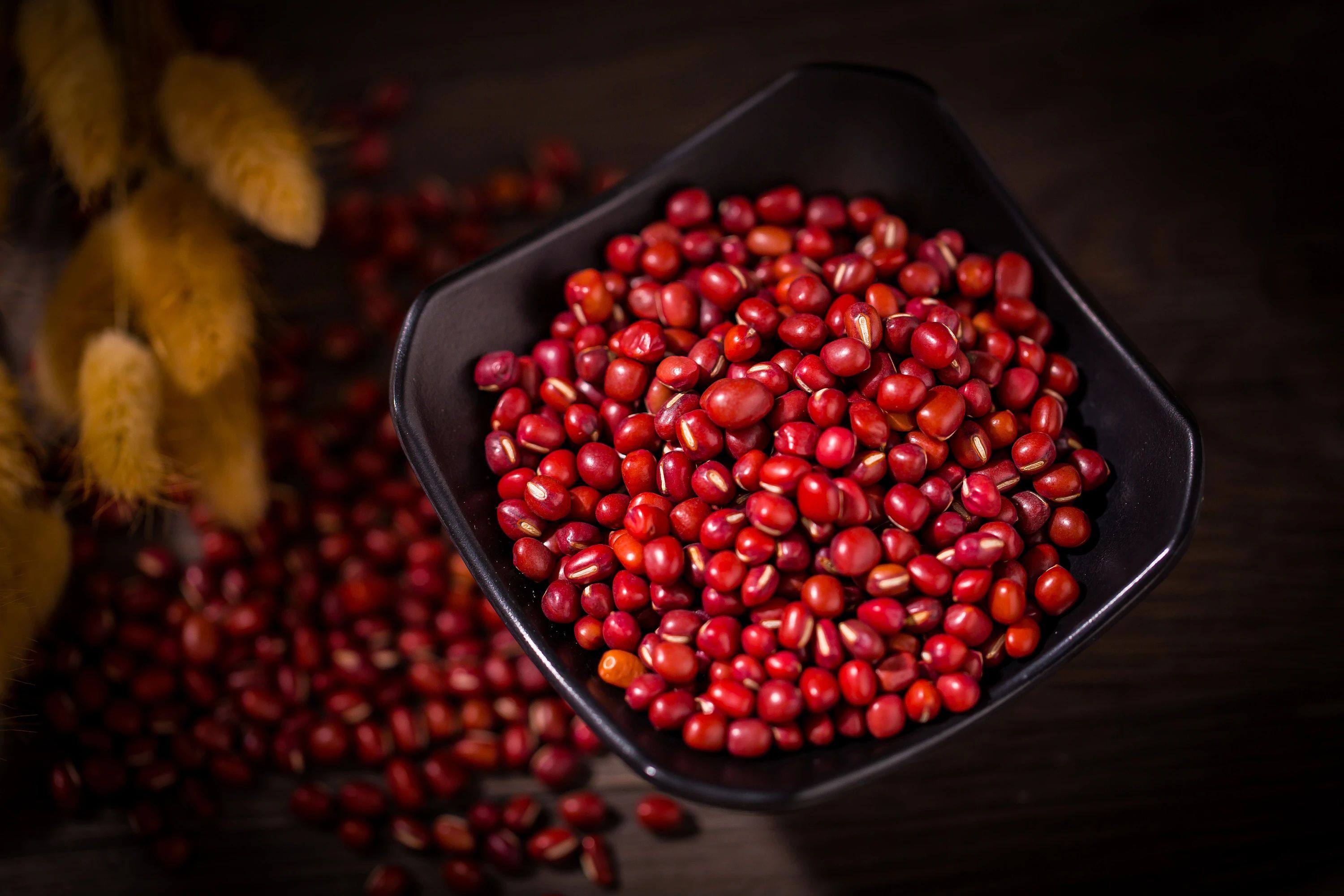 广东金辛医药生物科技有限公司官网/湿气“狂飙”，“潮”后就要吃红豆