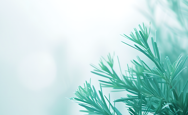 广东金辛医药生物科技有限公司官网/惊蛰丨今朝蛰户初开，一声雷唤龙起！