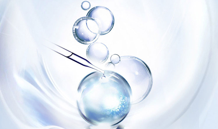 广东金辛/磷脂酰丝氨酸是什么，有什么作用