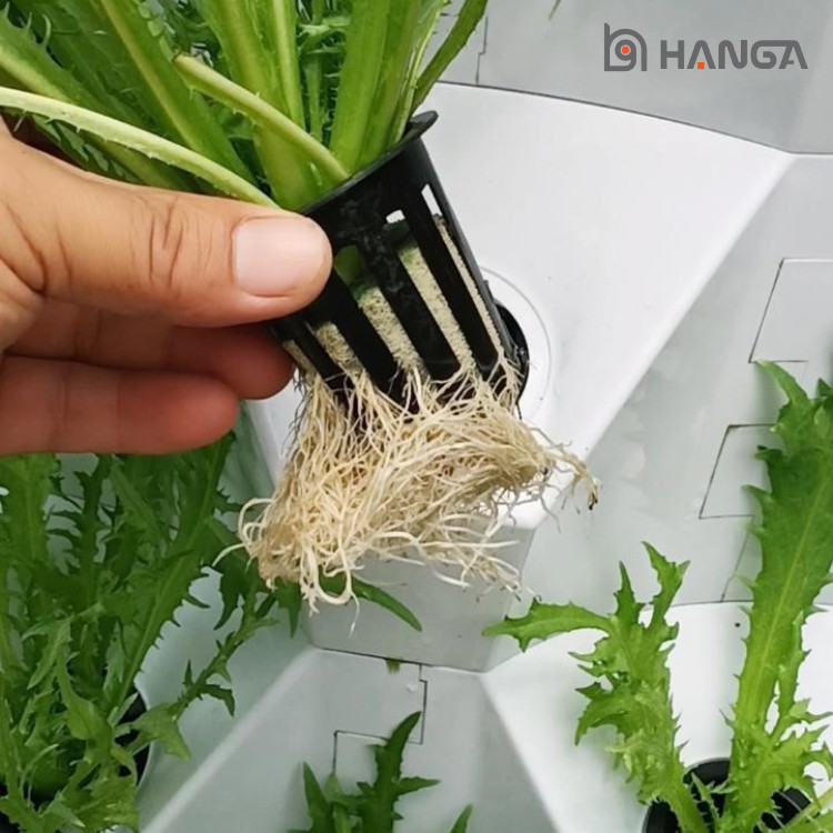 Hydroponic Tower System