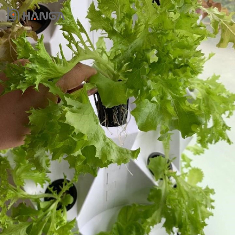 Hydroponic Tower System