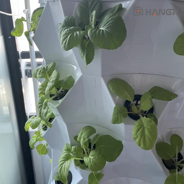 Hydroponic Tower System