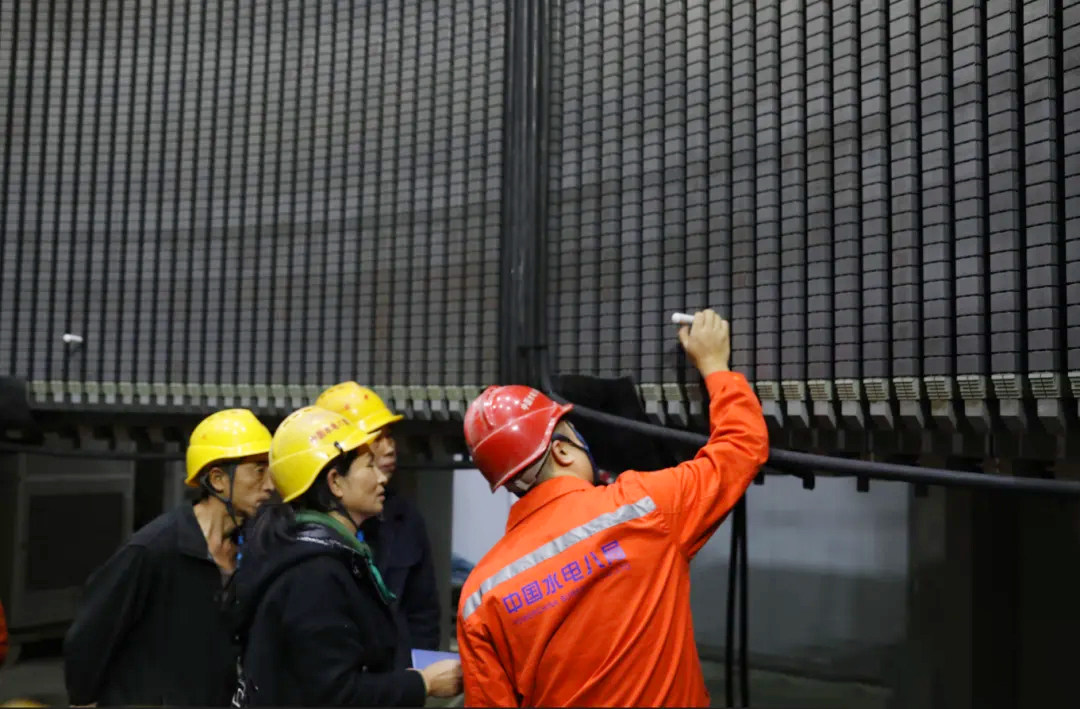 抽水蓄能电站的定子槽电位、气隙与漏磁场