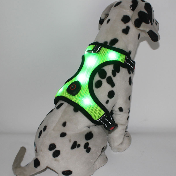 LED宠物背心