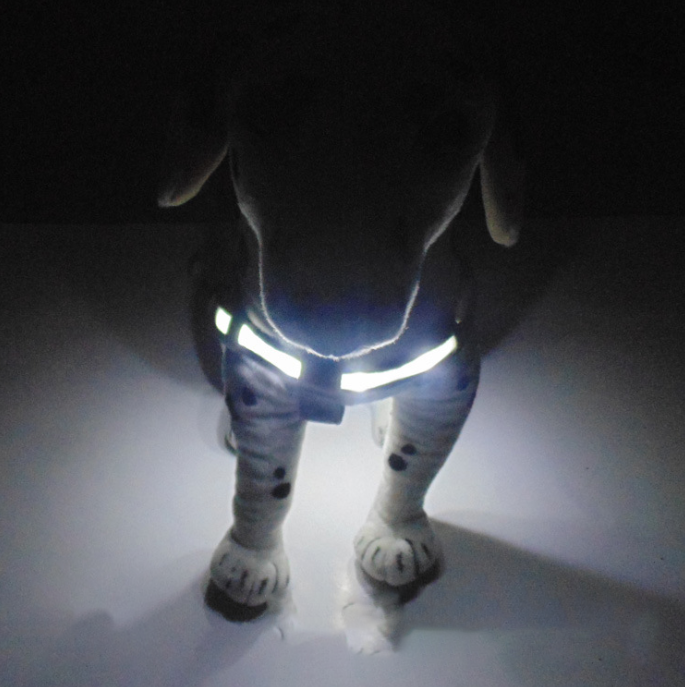 LED宠物背带