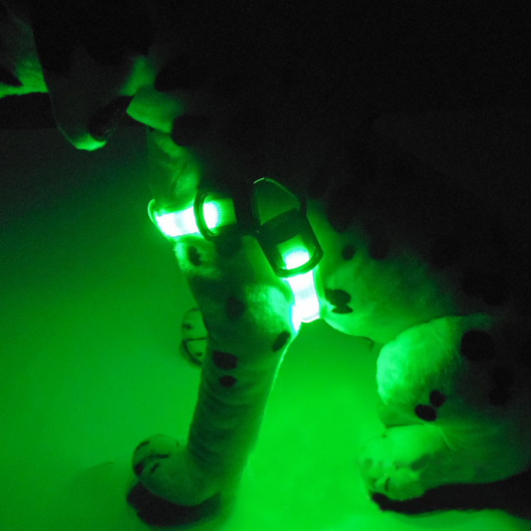 LED宠物背带