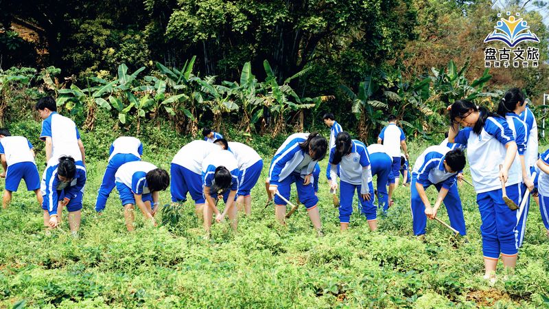 DSC02083_batch_20_1712643567816