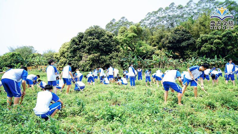 DSC02088_batch_11_1712643562897