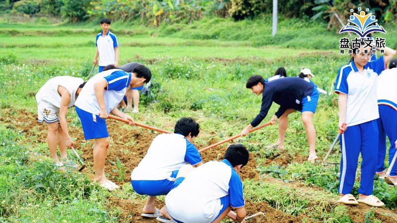 DSC02501_batch_9_1712671364293