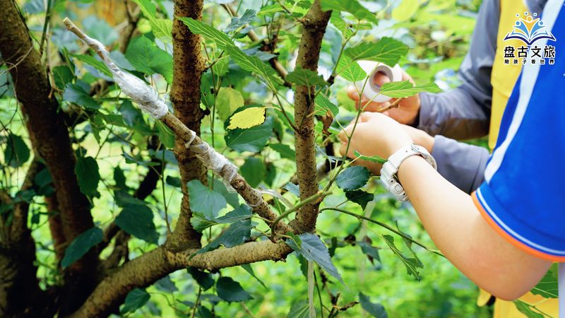 DSC05394_batch_31_1712738704116