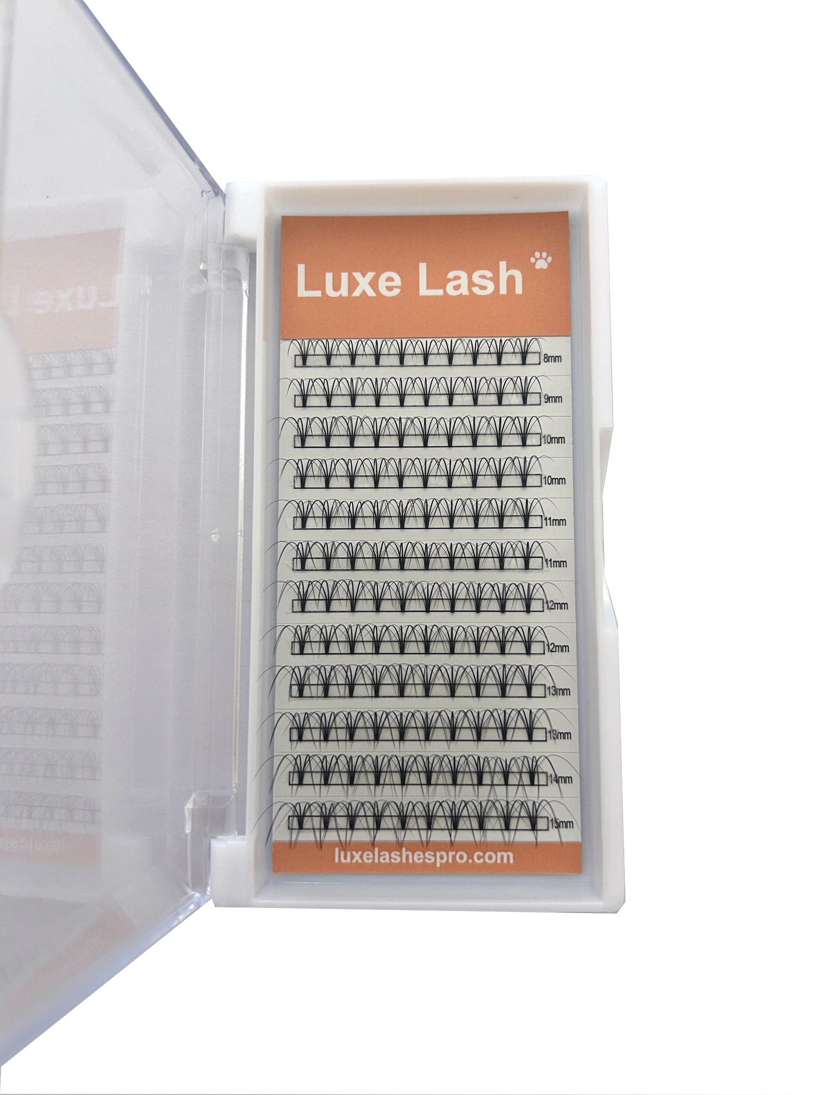 5D wispy premade fans