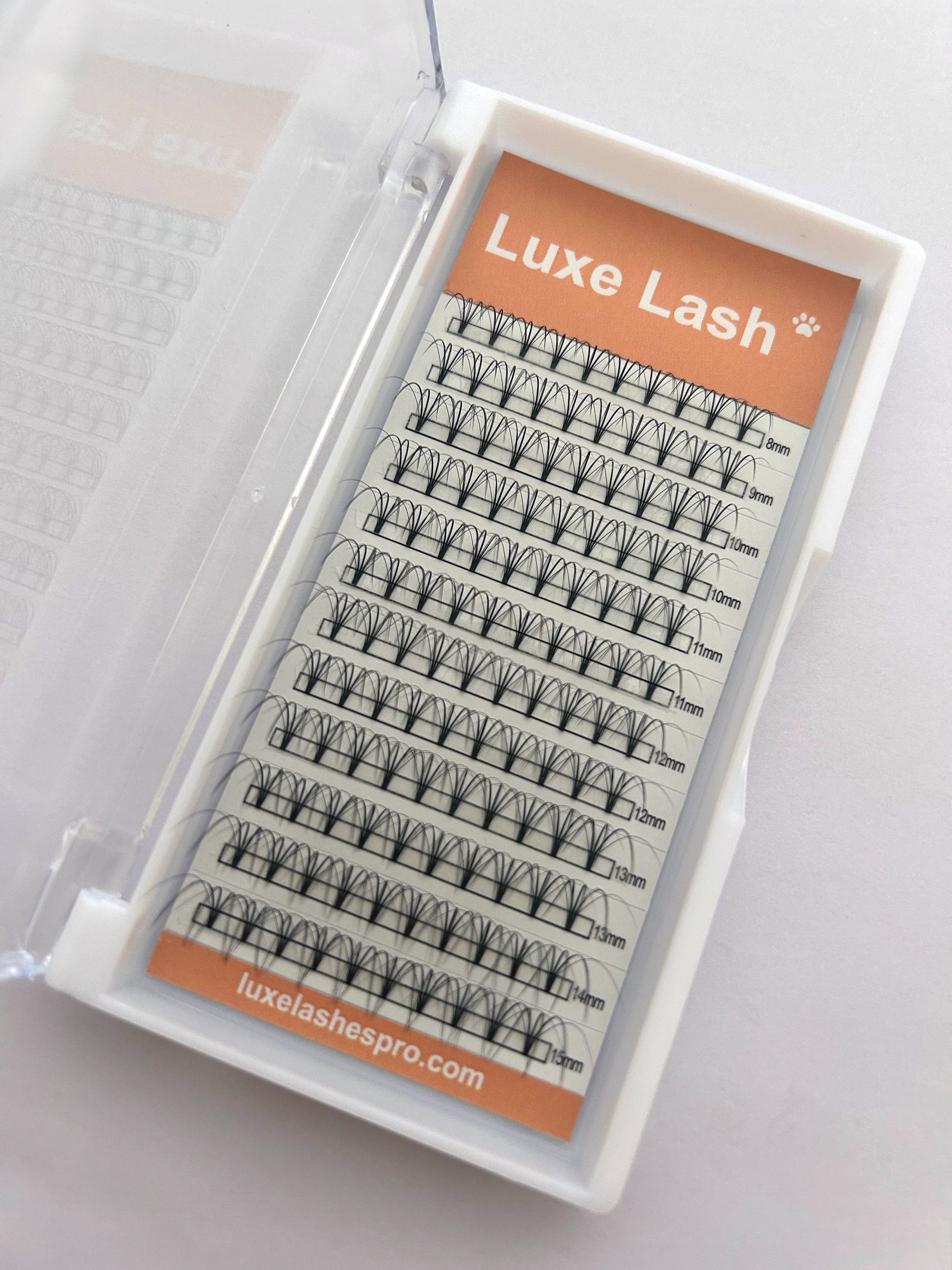 5D wispy premade fans