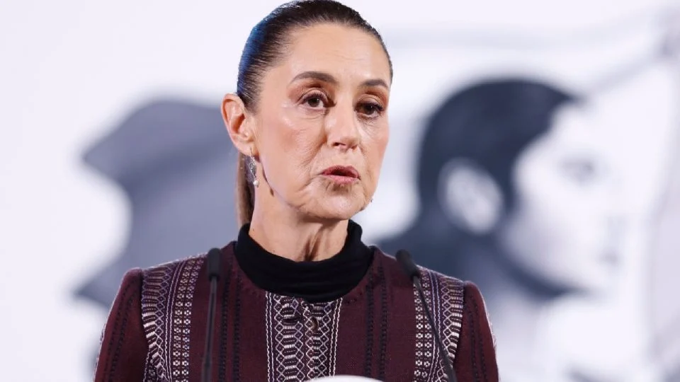 辛鲍姆批评新莱昂州的政治争端