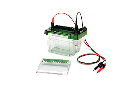 中型电泳槽Criterion Cell