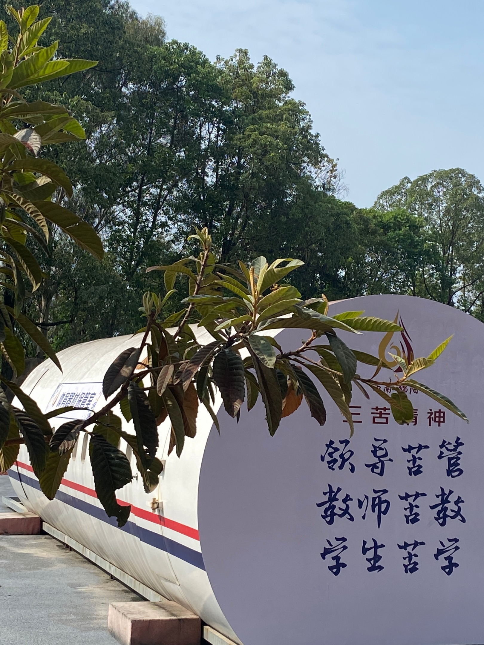 绵阳振华学校<高考补习中心>