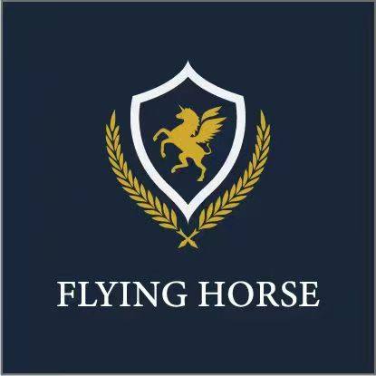 飞马教育有限公司