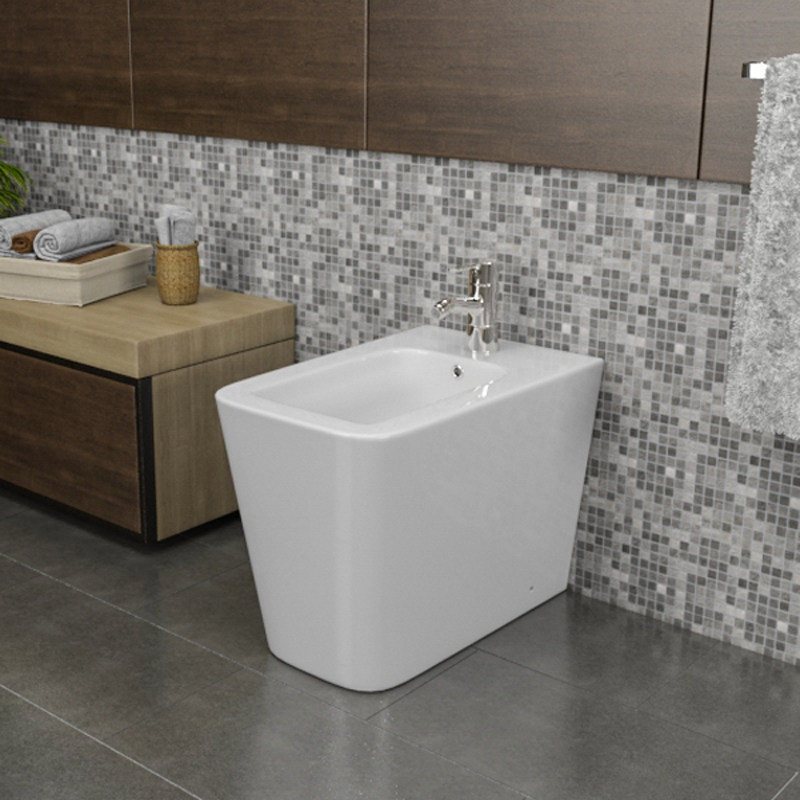 Modern Design Sanitary Ware Ceramic Bathroom Back to Wall Bidet