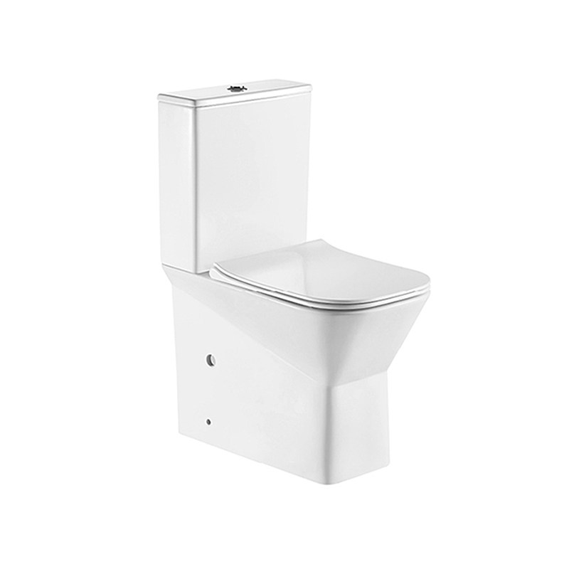 Best Selling Sanitary Ware Special Ceramic Bathroom Handicapped Toilet Suite
