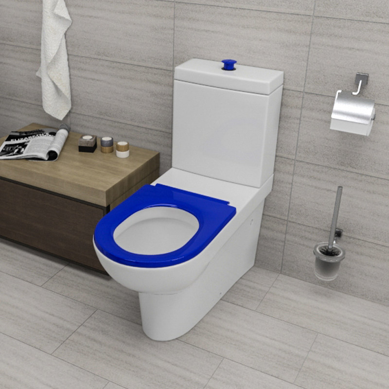 澳大利亚设计残疾人厕所带护理座便器抽水马桶
