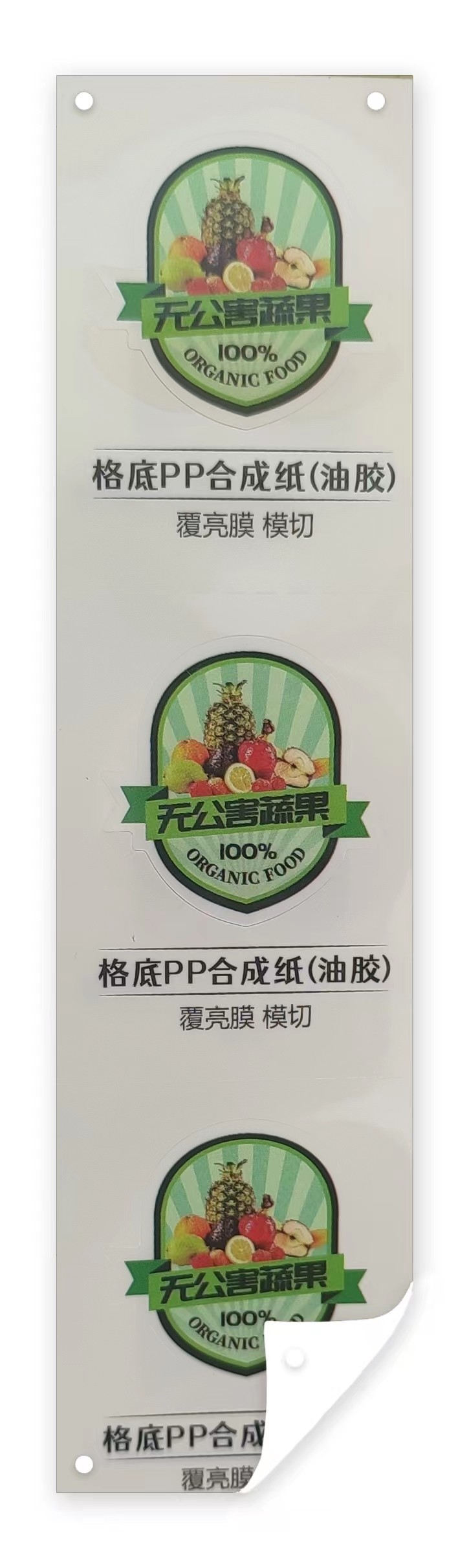 格底PP合成纸油胶