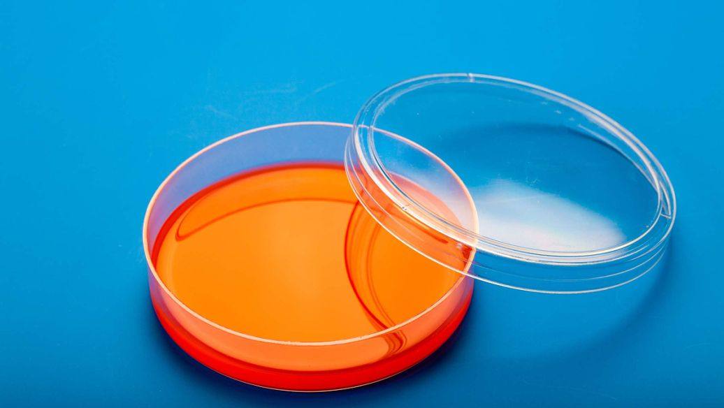 香港浩維生物技術有限公司/Hong Kong Harvey Biotech Limited