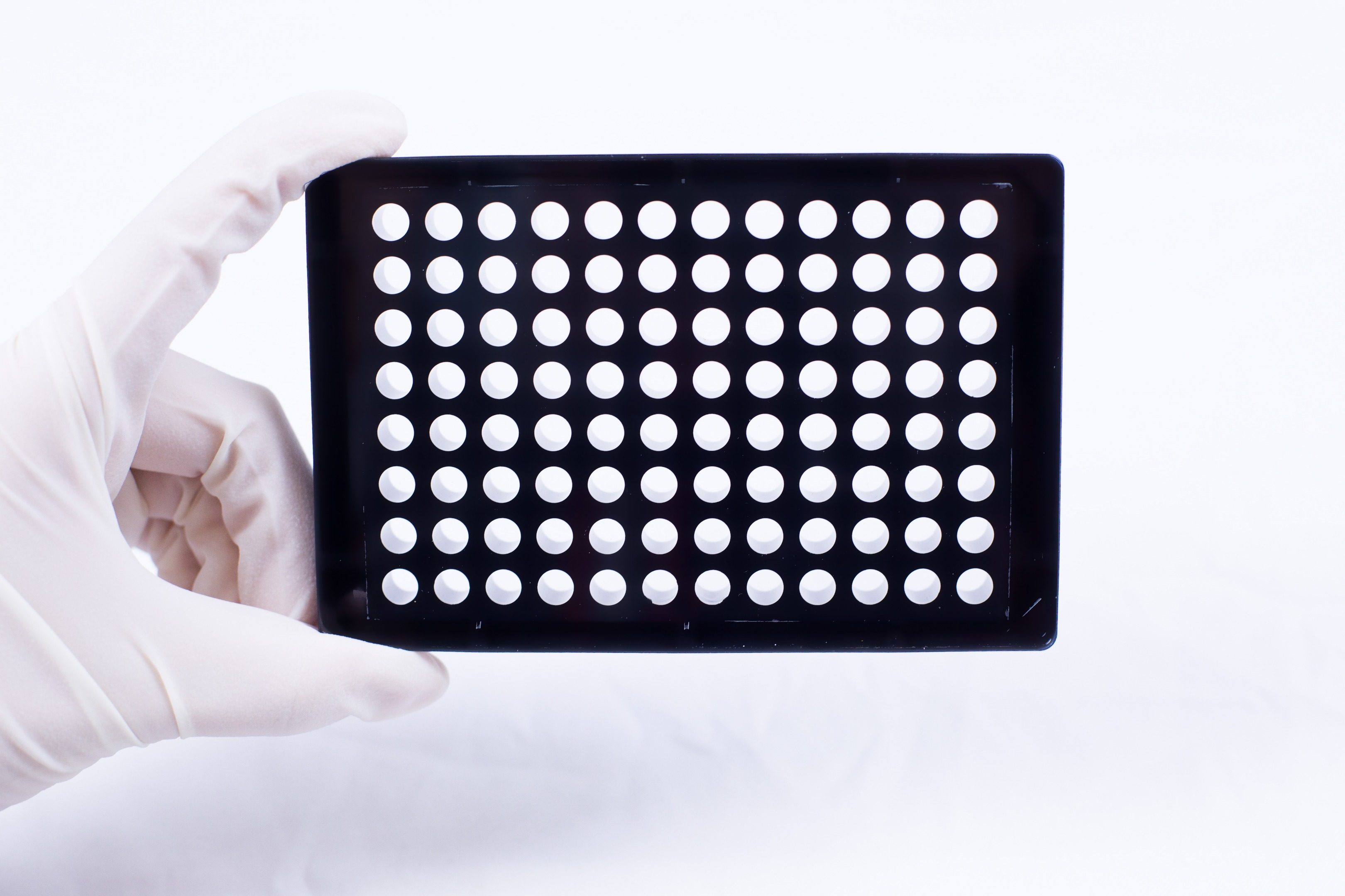 96孔黑色底透培养板  TC处理