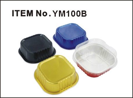 YM100B