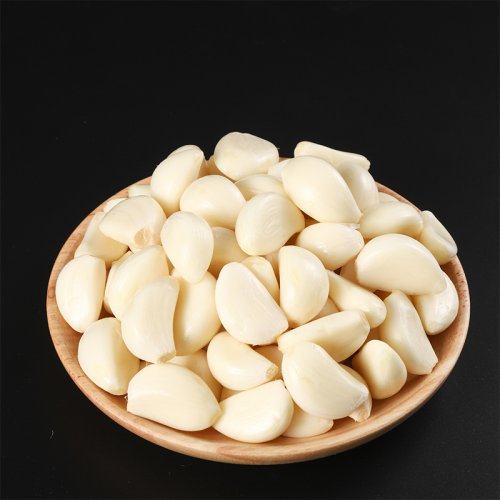Garlic