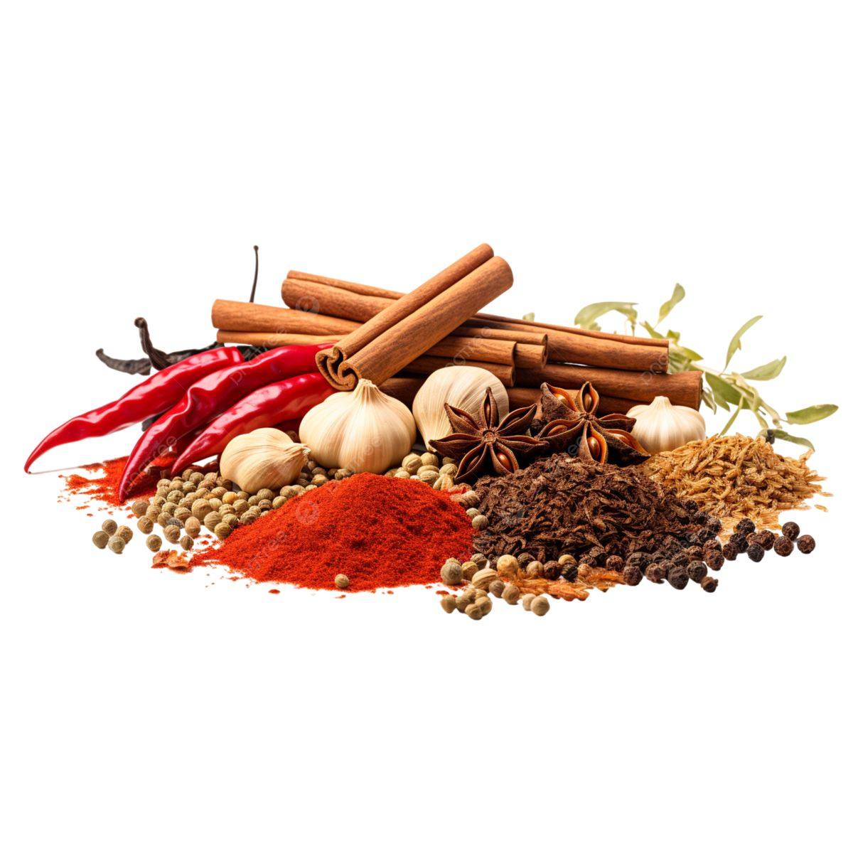 Henan Shabei International Trade Co., Ltd