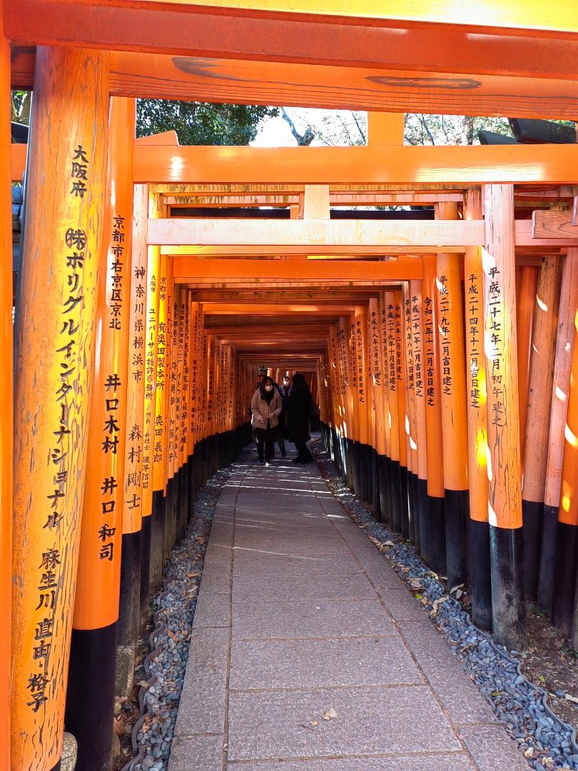 Impressive Bird House - Fushimi Inawa Daisha