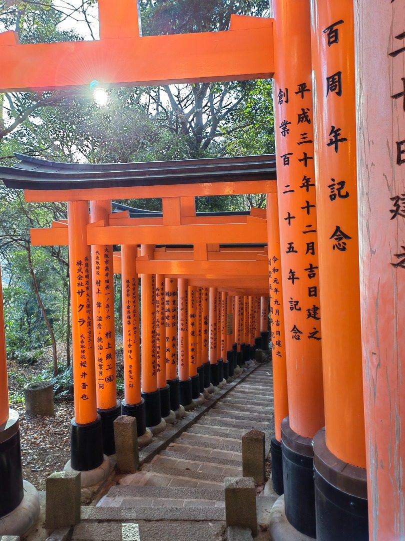 Impressive Bird House - Fushimi Inawa Daisha