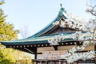 Osaka Castle Park