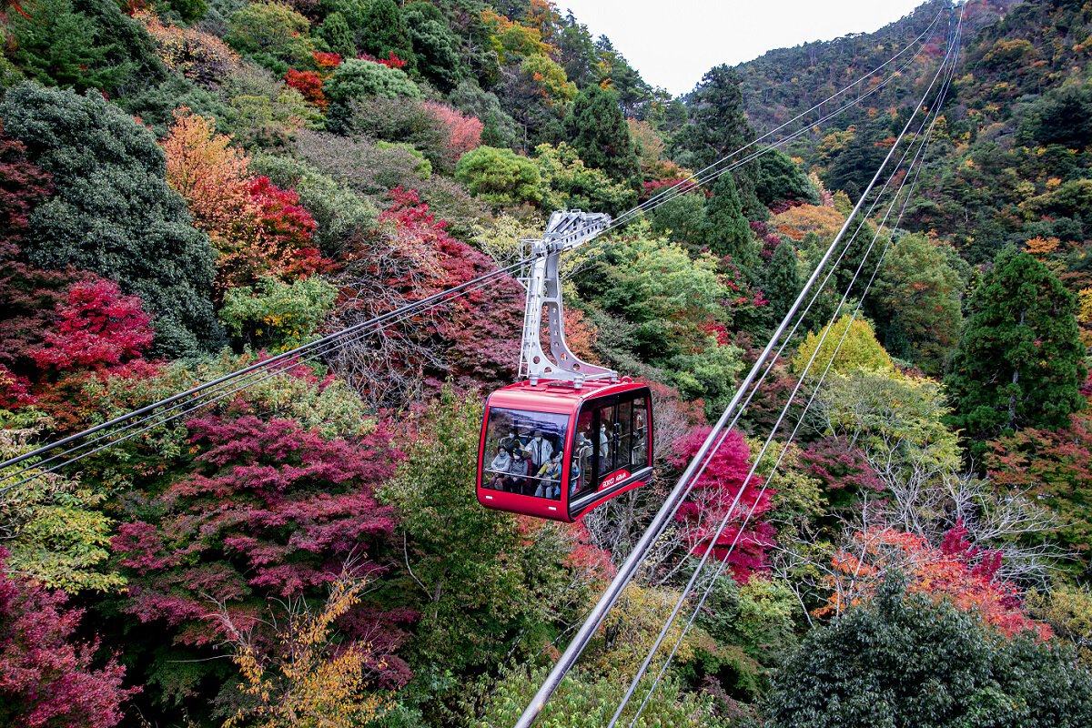 Enchanted Liujia Mountain