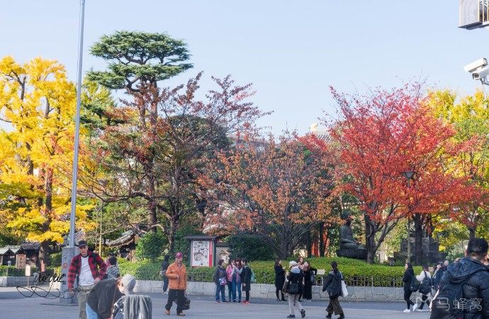 Ueno Park