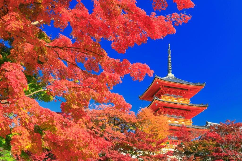 Qingshui Temple