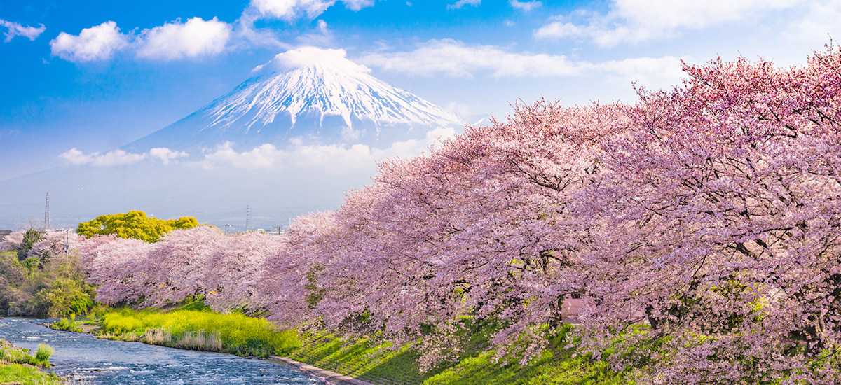 Tourism throughout Japan