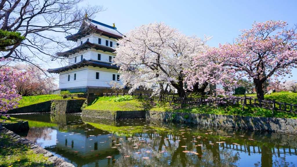 北海道赏樱点推荐【2024年】欣赏与本州不同滋味的樱花美景