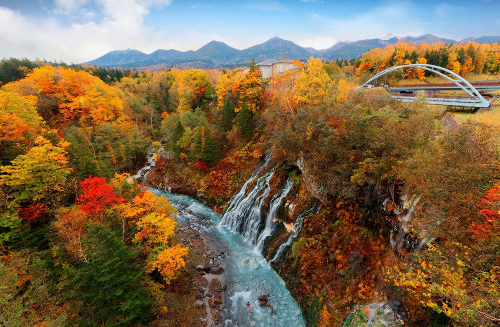 紫色花海的富良野/四彩之丘的美瑛（北海道）