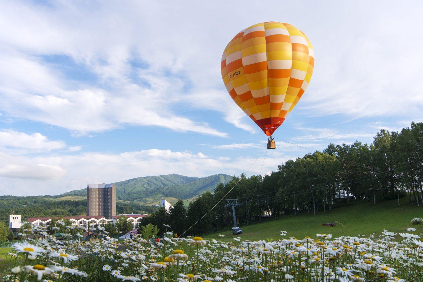 Furano in the Purple Flower Sea/Meiying in the Four Colored Hill (Hokkaido)