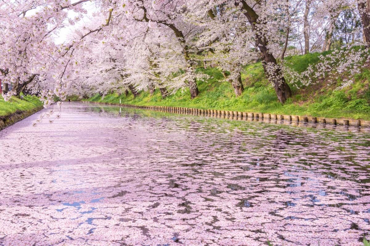 Having Rich and Beautiful Nature in Aomori Prefecture (Northeast Japan)