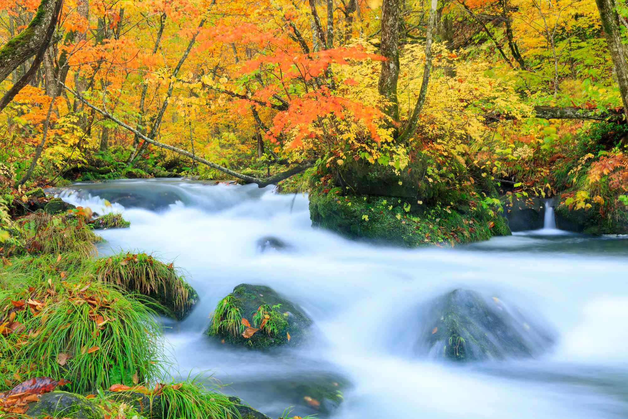 Having Rich and Beautiful Nature in Aomori Prefecture (Northeast Japan)