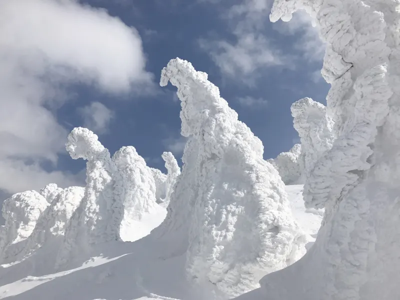 Having Rich and Beautiful Nature in Aomori Prefecture (Northeast Japan)