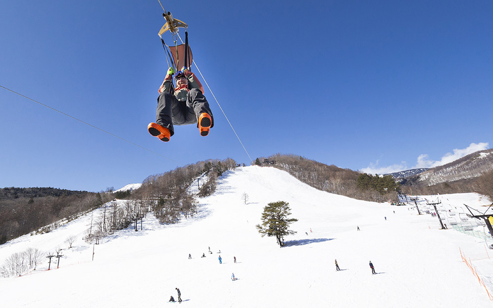 Niigata, a famous ski resort in Japan (Hokkaido region)