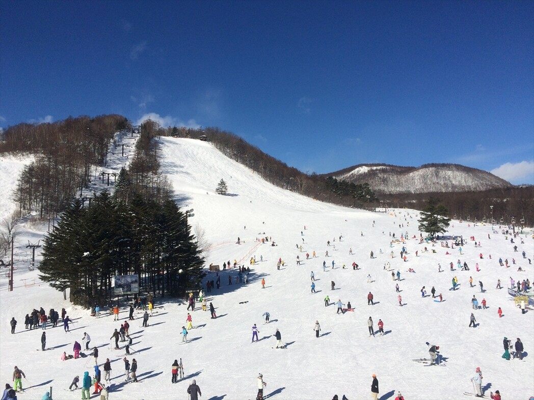 Niigata, a famous ski resort in Japan (Hokkaido region)