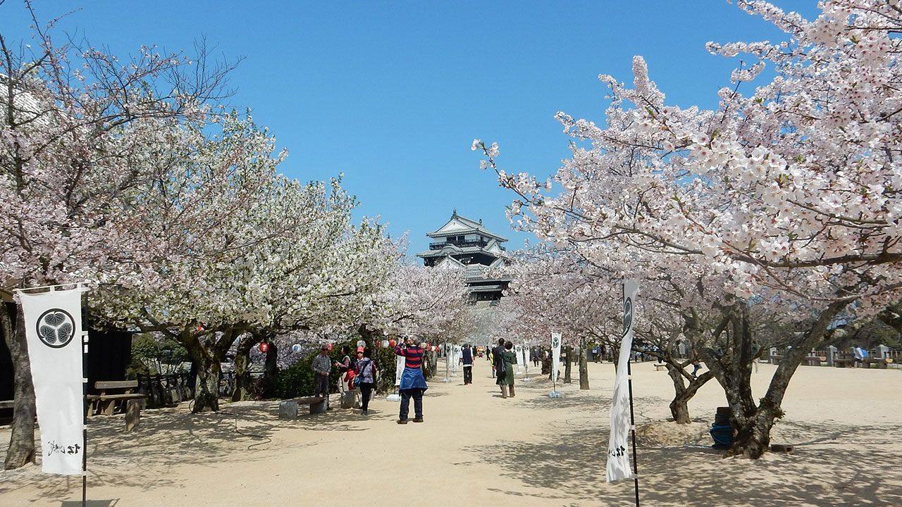 Popular filming location: Ehime County】