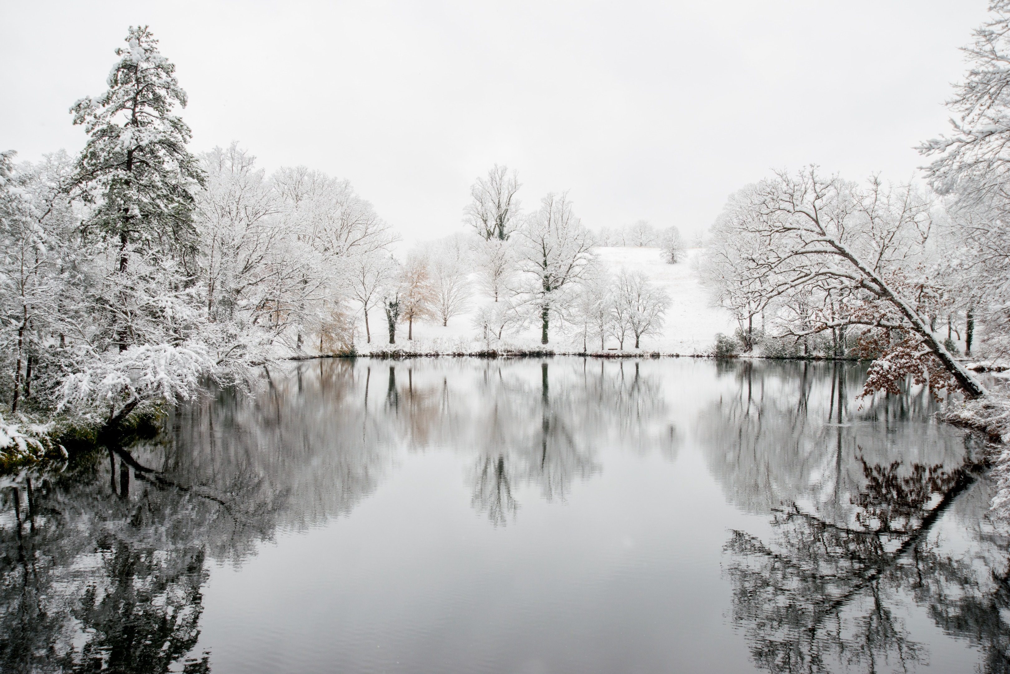 Hokkaido to Kyoto, crossing the snow country to the ancient capital, the most Japanese experience