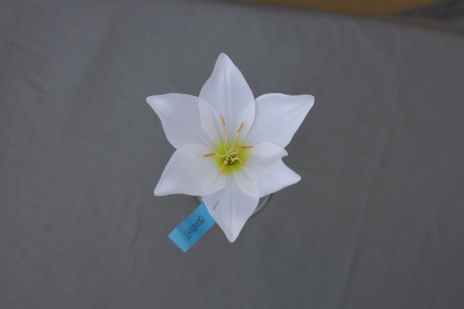 LILY2（CODE:30065HY）