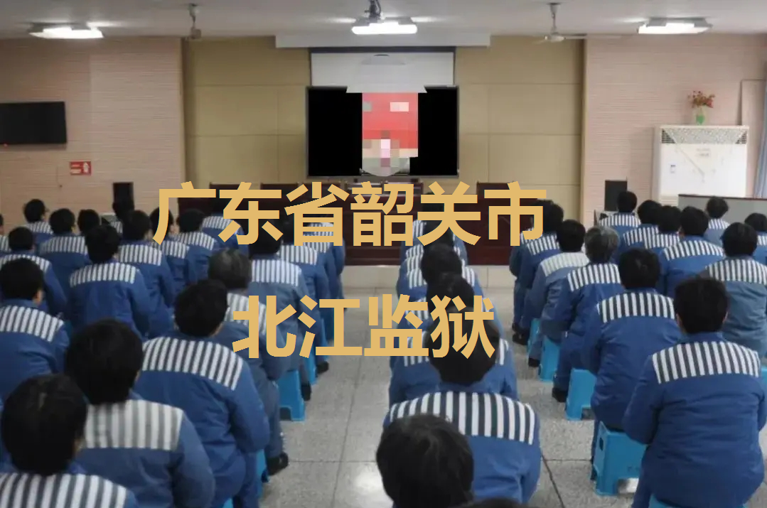 广州市中科数码科技有限公司
