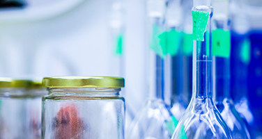 海湾首个规模型风电场拟于年底启动建设